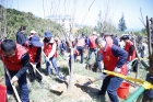 黨群合力添新綠！共助綠美生態(tài)建設(shè)高質(zhì)量發(fā)展